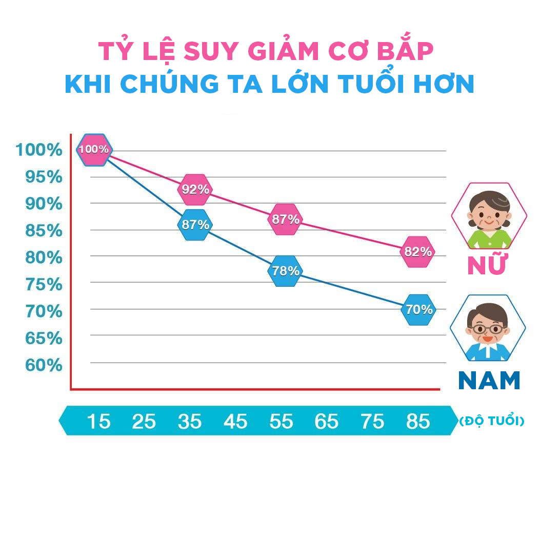 Tỷ lệ suy giảm do tác dụng của cơ bắp chịu ảnh hưởng theo tuổi tác